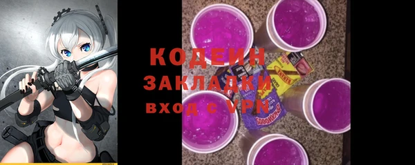 хмурый Арсеньев