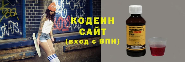 хмурый Арсеньев