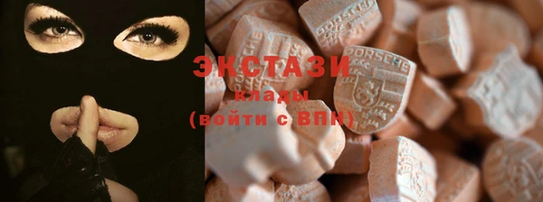 хмурый Арсеньев