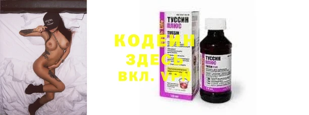 хмурый Арсеньев