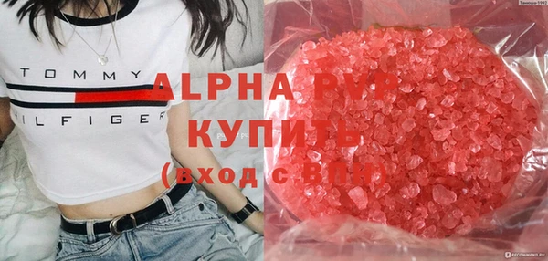 хмурый Арсеньев