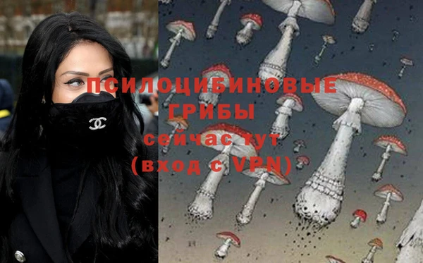 хмурый Арсеньев
