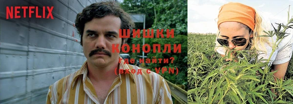 хмурый Арсеньев