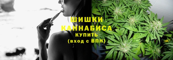 хмурый Арсеньев