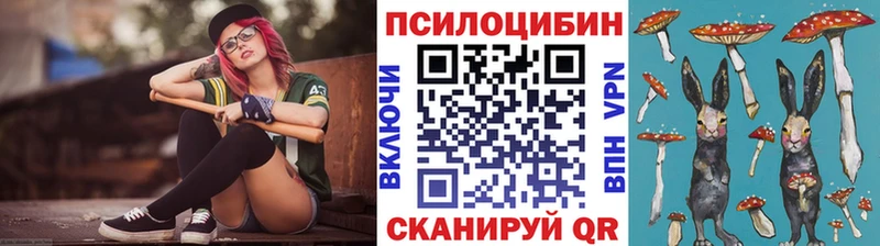 где найти   Полярные Зори  Галлюциногенные грибы мицелий 